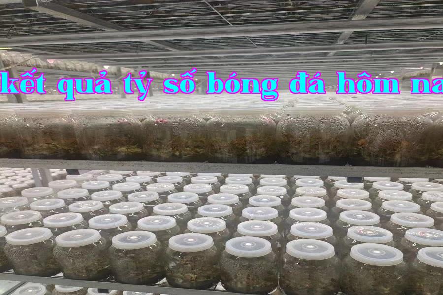 Đèn micro phát triển thực vật 08.jpg