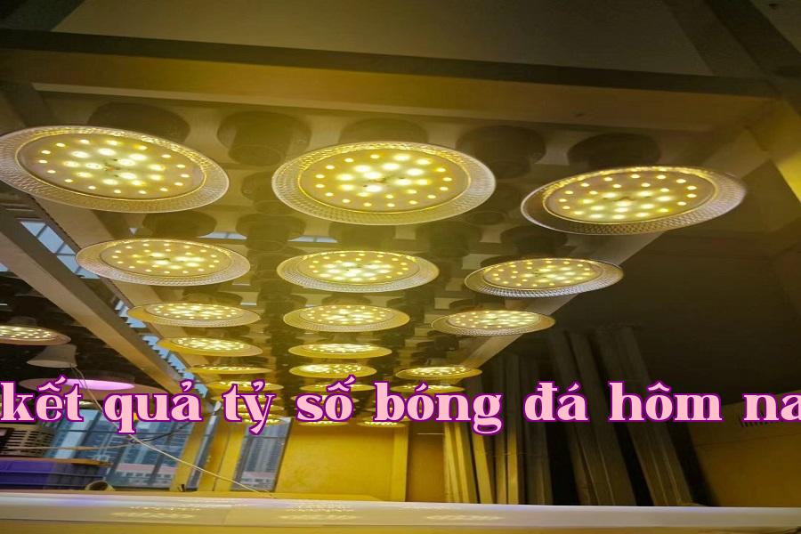 Đèn phát triển thực vật 02.jpg