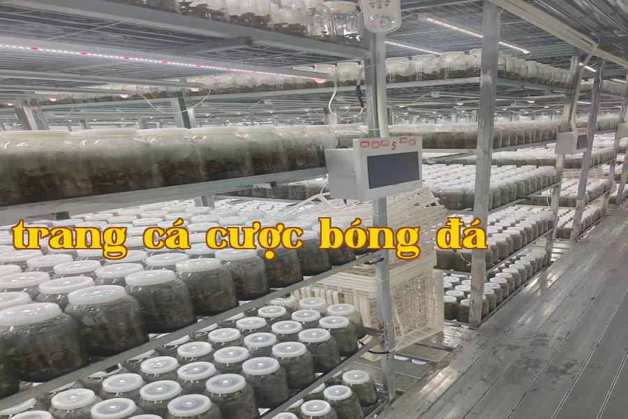 Đèn tăng trưởng thực vật 02