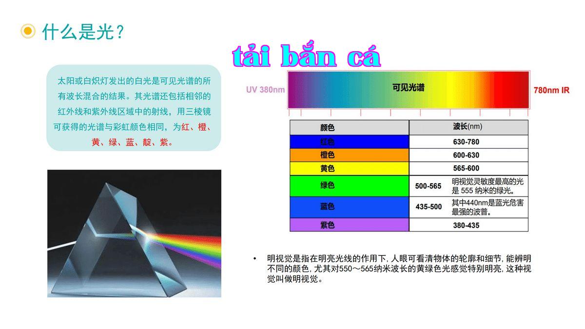 Ánh sáng là gì?.jpg