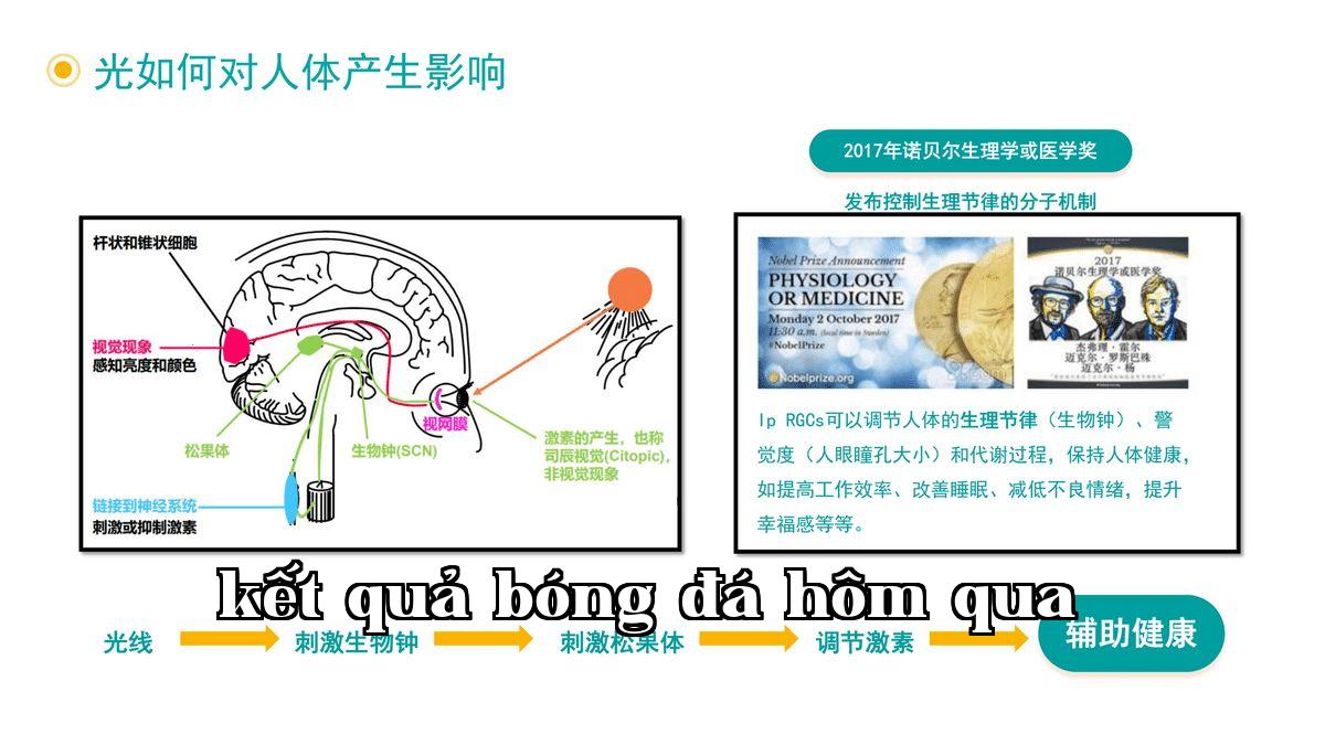 Ánh sáng ảnh hưởng đến cơ thể con người như thế nào-1.jpg