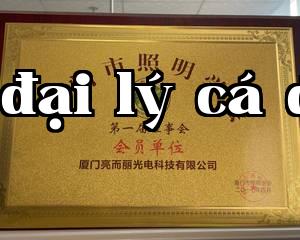 Hiệp hội Chiếu sáng Thành phố Hạ Môn.jpg
