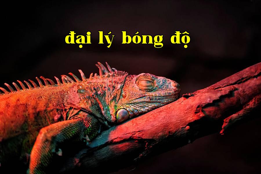 Bổ sung ánh sáng cho động thực vật 01
