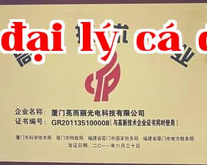 Doanh nghiệp Công nghệ Cao.jpg