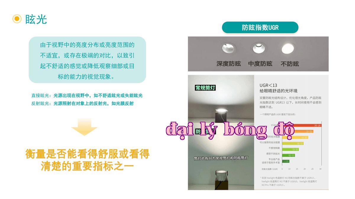 Ánh sáng lấp lánh.jpg