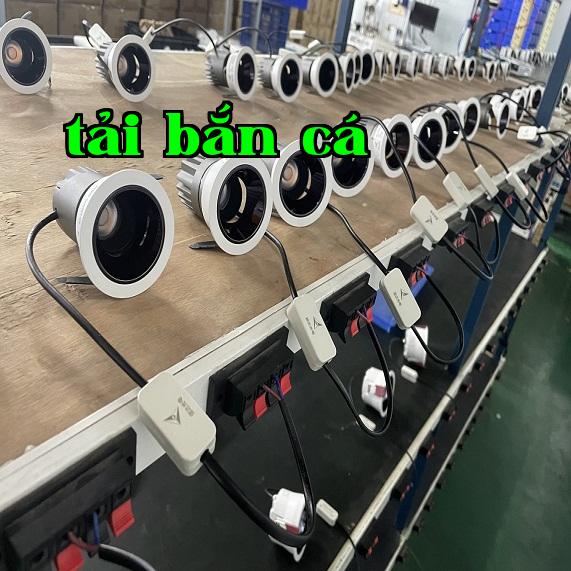 Đèn rọi
